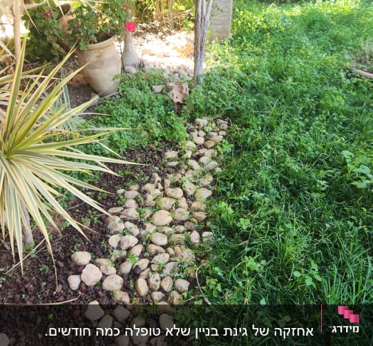 אבנים מסודרות בגינה עם צמחייה ירוקה מסביב